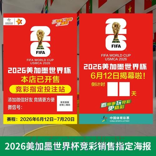 2026年世界杯投注全套攻略与高效下注技巧